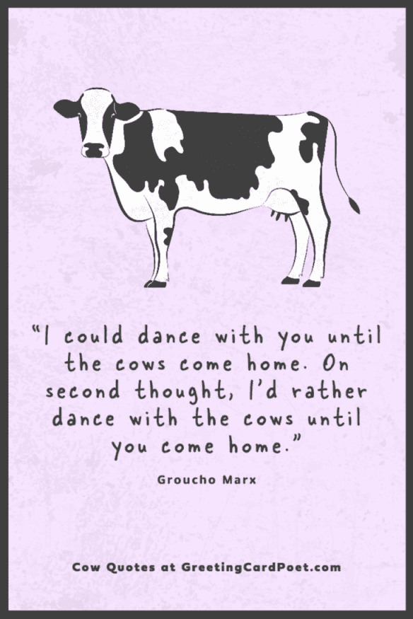 Adorable and Amusing Cow Sayings to Brighten Your Day