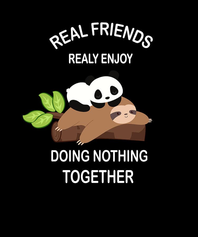 1 sloth panda friendship sayings evgenia halbach