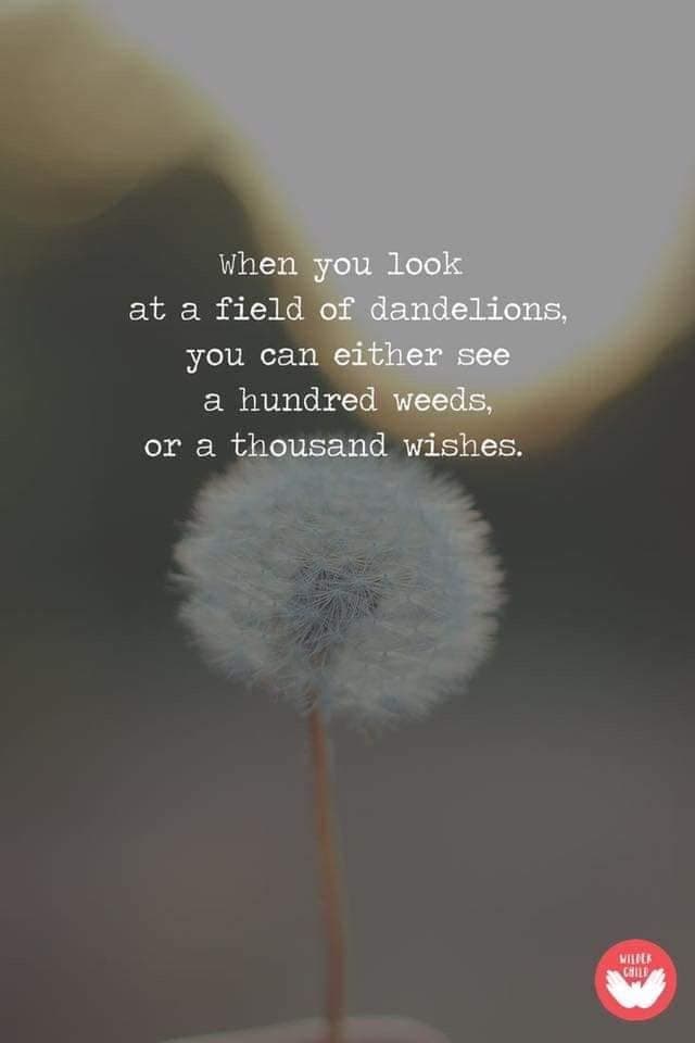 Dandelion Wishes Quotes: Inspiring Words About Nature's Magic