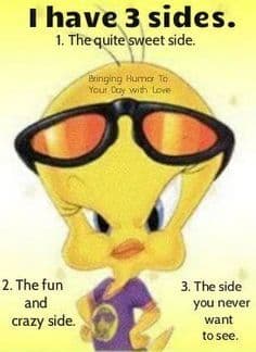 The Wit and Wisdom: Famous Tweety Bird Sayings