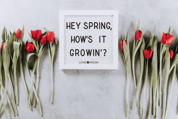 332810 1600x1066 spring letter board quotes