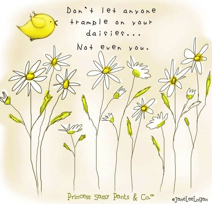 Best Daisy Quotes: Beautiful and Inspiring Sayings about Daisies 