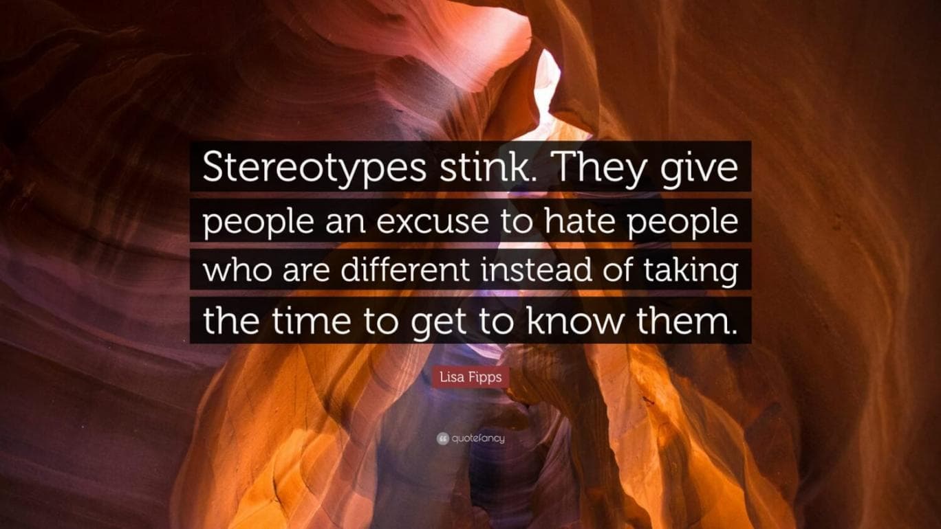 7089984 lisa fipps quote stereotypes stink they give people an excuse to scaled