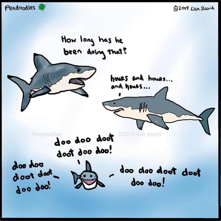 Funny Shark Sayings to Brighten Your Day