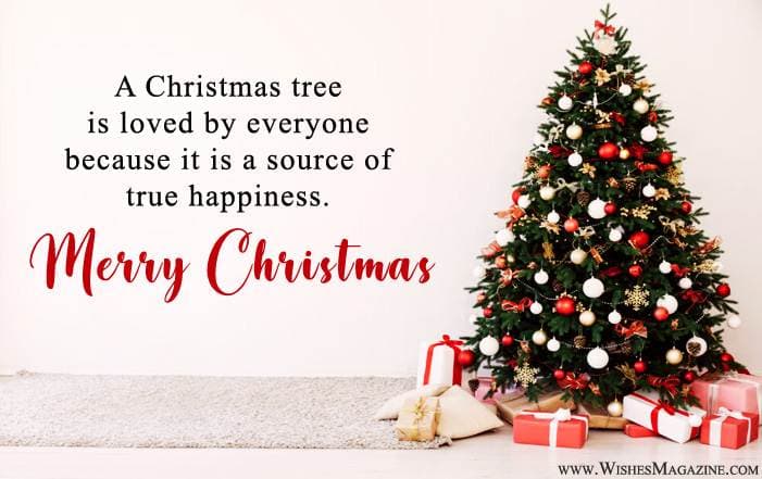 christmas tree quotes