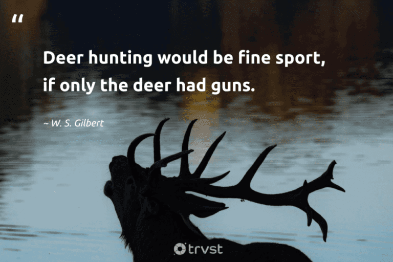 deer quotes w s gilbert deer hunting wou 4995