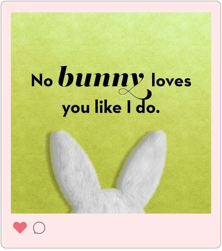 Cute Bunny Sayings: A Compilation of Adorable Phrases