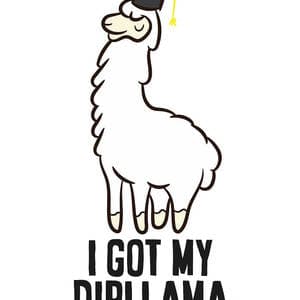 funny llama i got my dipllama eq designs