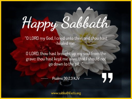 happy sabbath with flowers2