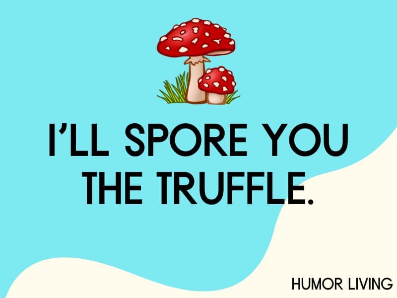 mushroom puns spore truffle