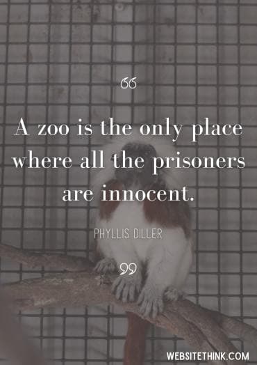 quotes about zoos 10