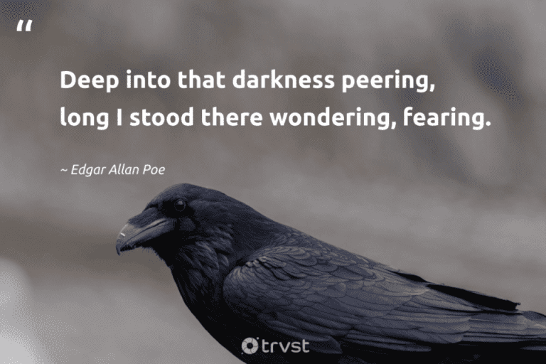 raven quotes edgar allan poe deep into t 9023