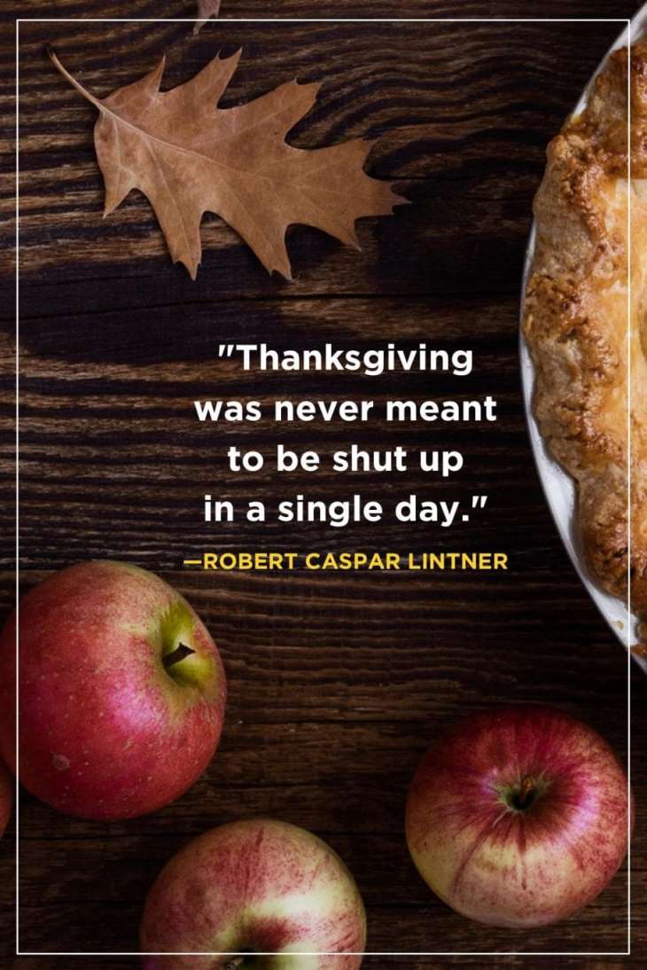 thanksgiving quotes 11 1563906527