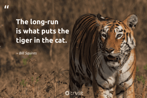 tiger quotes bill squires the long run i 3266