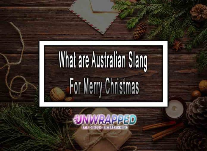 what are australian slang for merry christmas 696x510 1