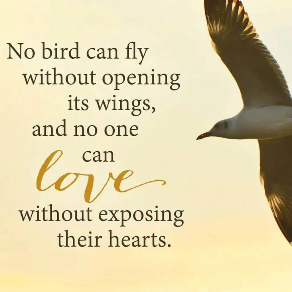 best-bird-quotes-to-inspire-your-love-for-nature