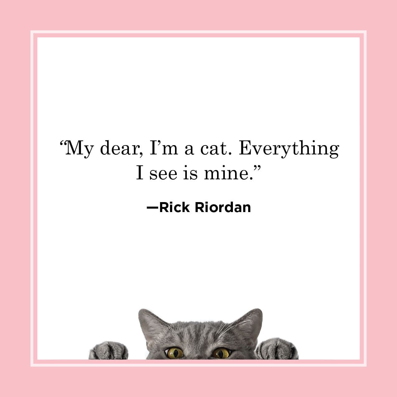 Cat Quotes