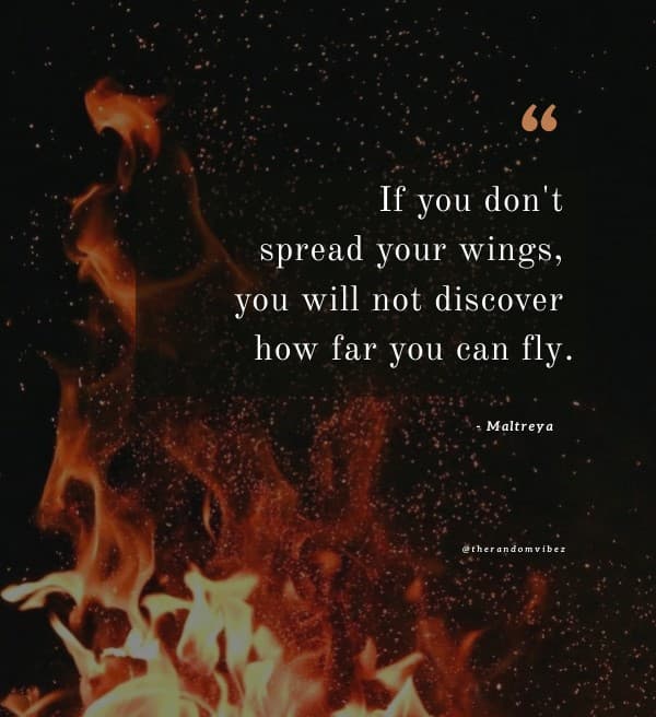 Phoenix quotes