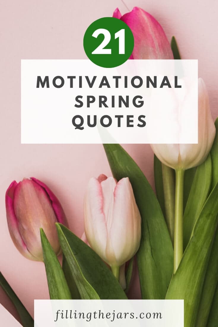 Spring Quotes