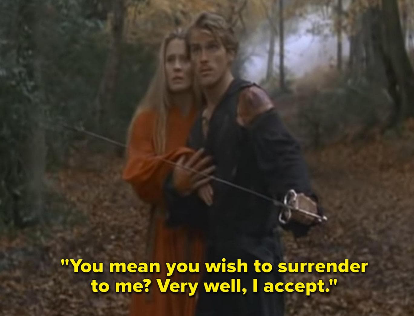 Quotes from The Princess Bride That Will Sweep You Off Your Feet