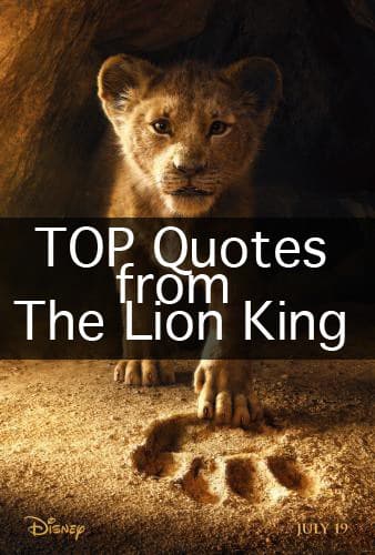 King quotes