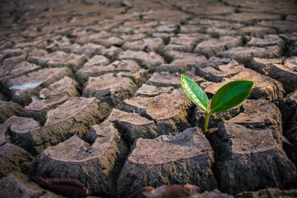 10 Surprising Facts About Droughts: Exploring their Causes, Impacts ...