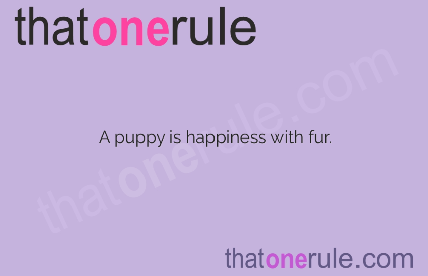 Puppy Quotes – Celebrating the Irresistible Charm of Man’s Best Friend