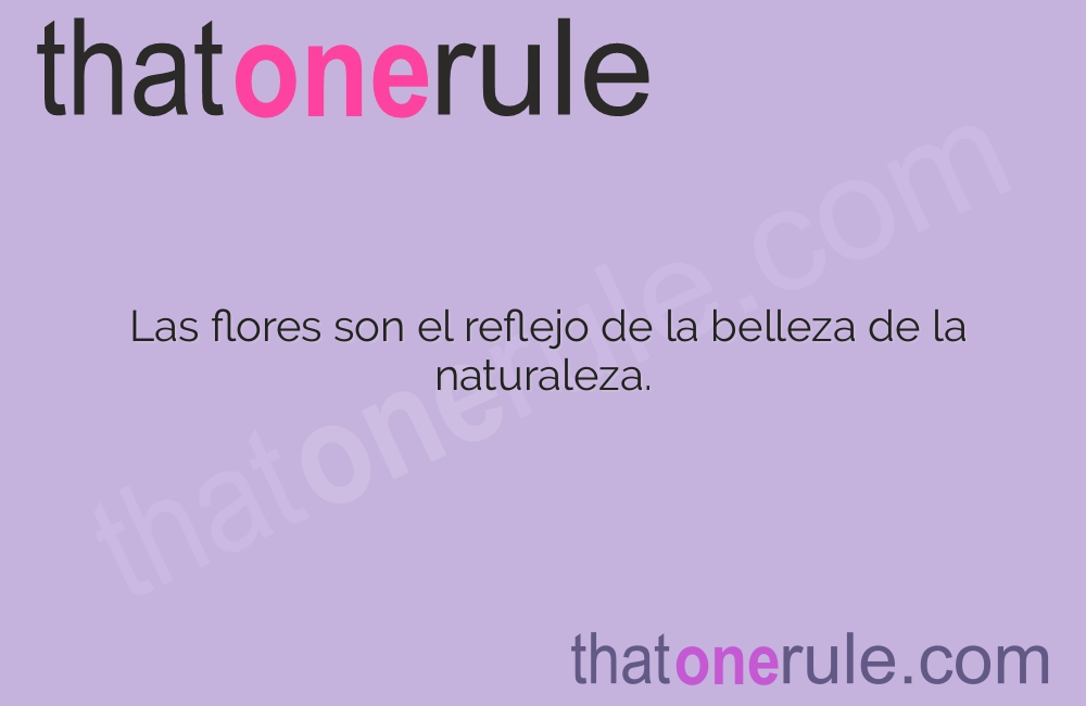 Reflexiones bonitas con flores