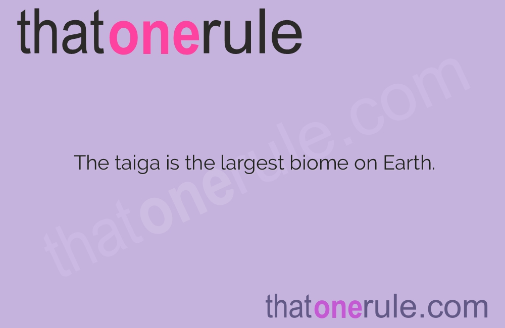 Taiga Facts – All You Need to Know About the World’s Largest Terrestrial Biome