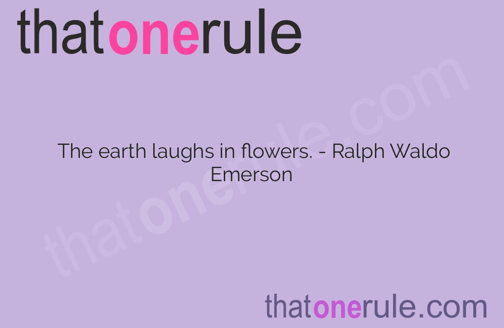 Beautiful Quotes about Flowers